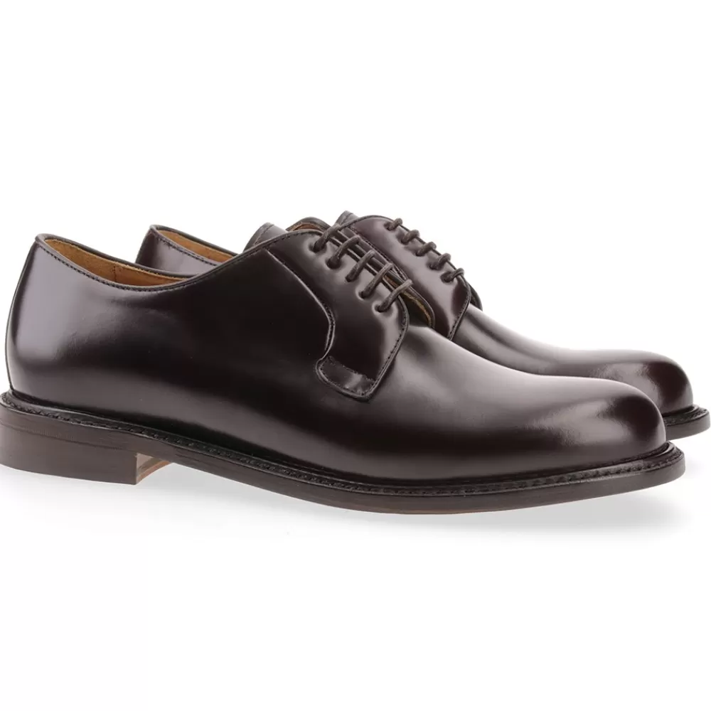 Berwick 1707 Derby>3680-K3 Rois Marrone