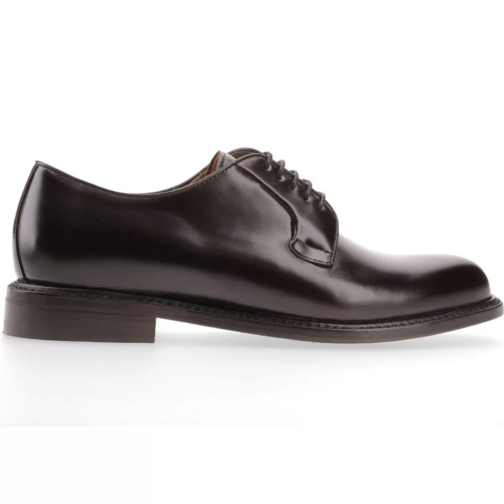 Berwick 1707 Derby>3680-K3 Rois Marrone