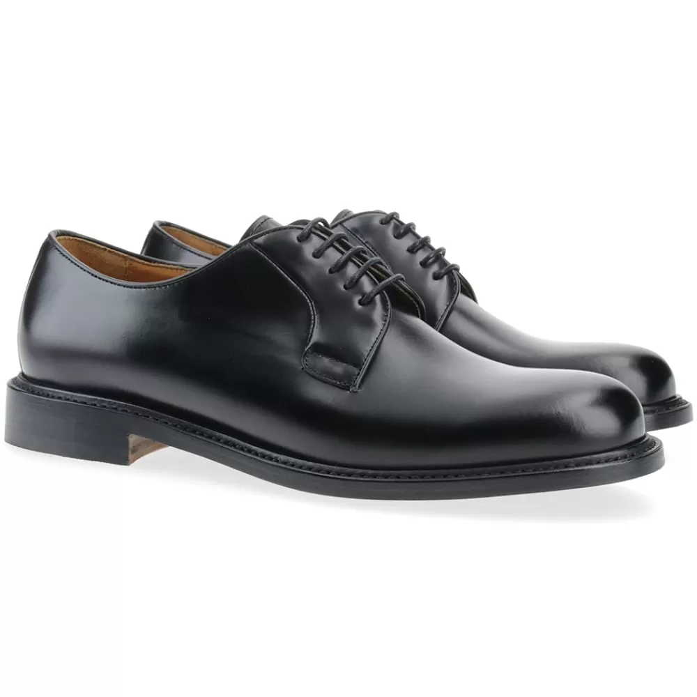 Berwick 1707 Derby>3680-K4 Rois Nero
